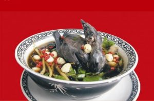 Món bồ câu hầm đông trùng hạ thảo nguyên con tươi