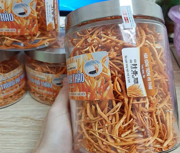 Đông trùng hạ thảo sinh khối khô