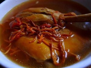 vịt hầm đông trùng hạ thảo