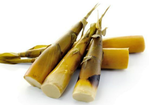 Nguyên lậu măng tươi nấu canh gà