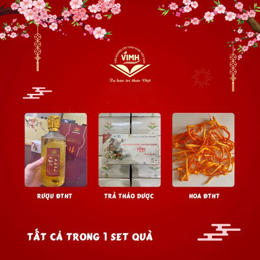Quà Tết Đông Trùng Hạ Thảo Viện Thảo Dược